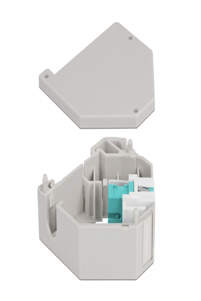 Delock Keystone-jackadapter för DIN-skena - 87173