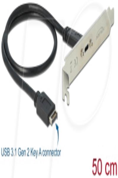 Support de fente Delock - Panneau USB