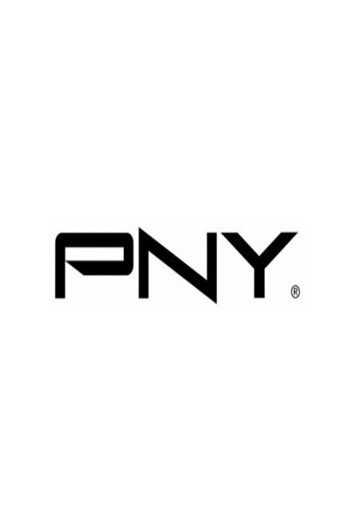 PNY QSP-PWSUP16PPCIE300W Câble d'alimentation CEM5 vers 2x PCIE - Câble - Alimentation/Alimentation