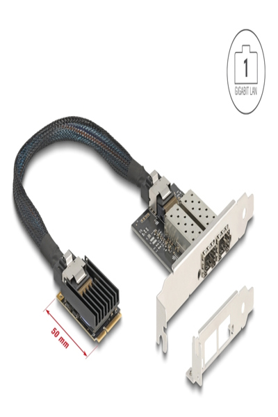 Delock 95281 Mini PCI Express to SFP 0.3m - 95281