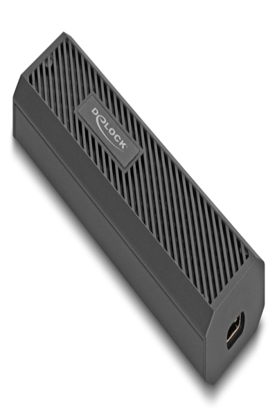 Delock Externes USB Type-C 20 Gbps Combo GehÃƒÂ¤use fÃƒÂ¼r M.2 NVMe PCIe oder SATA SSD - 42031