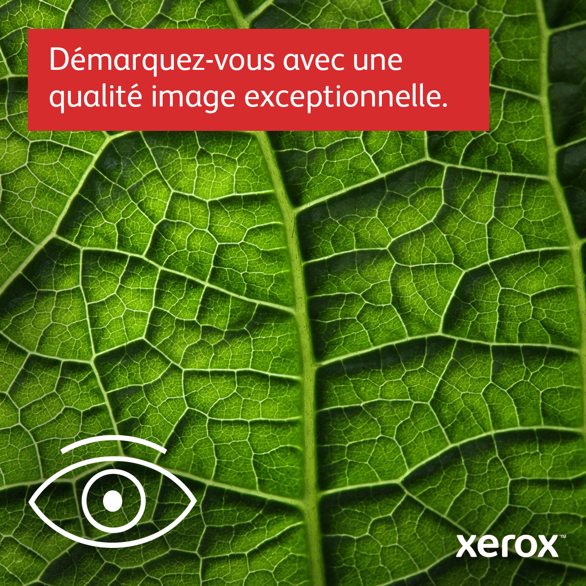 Xerox C230 Color Laser Printer - C230V_DNI