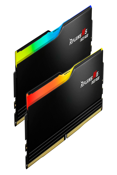PC G.Skill Ripjaws M5 RGB F5-6000J3038F16GX2-RM5NRK 32 Go DDR5