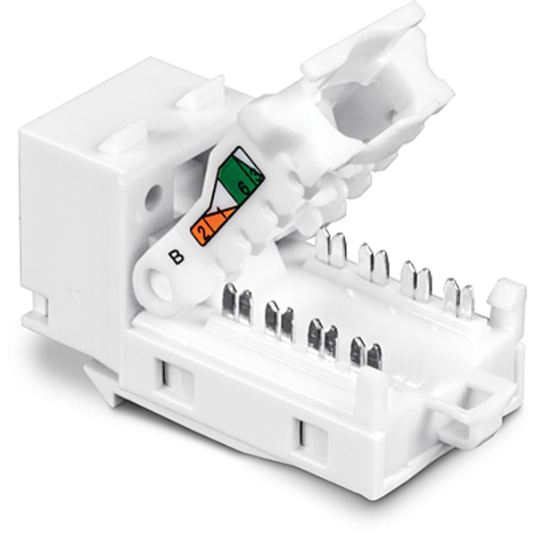 TRENDnet TRN TC-K25C6 - Keystone Module RJ45 - TC-K25C6