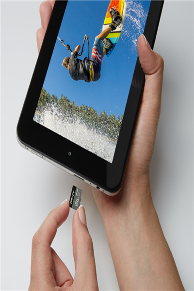 PNY PRO Elite - Flash memory card (microSDXC to SD adapter included) - P-SDU256V31100PRO-GE
