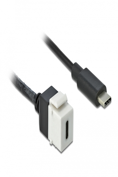 Delock Keystone-modul - USB-kabel - 86399