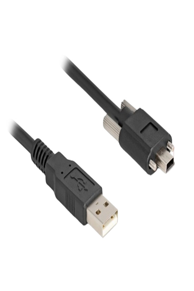 Câble USB Delock - USB (M) vers mini-USB Type B (M)