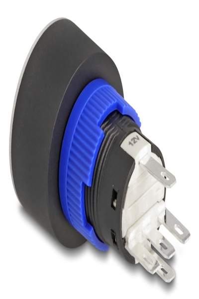Delock Push Button protruding 22 mm 5 x Solder flat Plastic LED - 22046