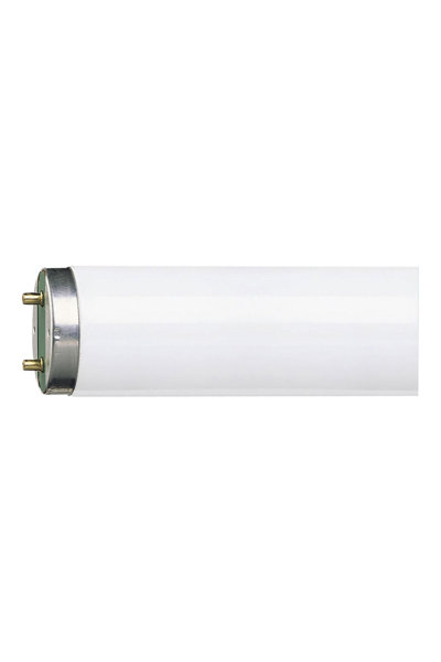 Lampe à tube Philips MASTER TL-D Super 80 58W G13