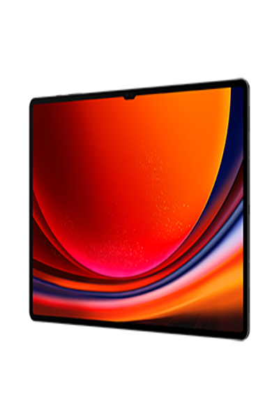 Samsung Galaxy Tab S9 Ultra - Tablet - SM-X916BZAAEUB