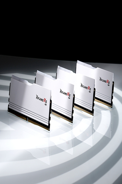 F5-6000J3040F16GX2-RM5RW - F5-6000J3040F16GX2-RM5RW