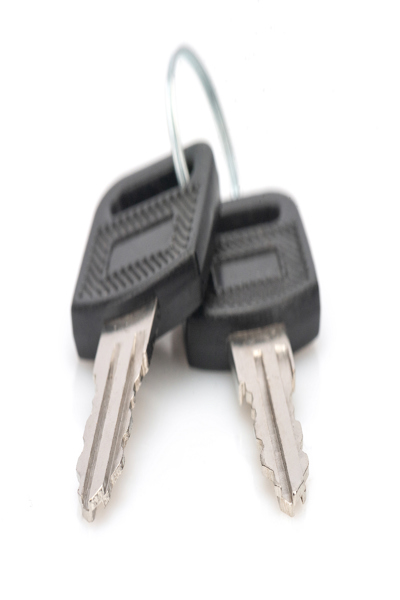 DIGITUS Key for wall-mounted enclosures Dynamic series, SOHO 10" & 19" series, charging cabinets - DN-KEY-WM