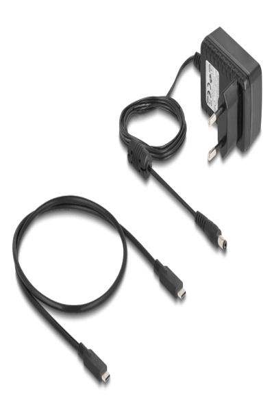 Delock USB 20 Gbps M.2 Dockingstation fÃƒÂ¼r 2 x NVMe PCIe SSD mit Klon- und - 64300
