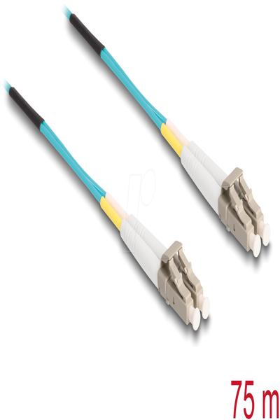 Delock Fiber Optic Cable LC Duplex Multimode OM3