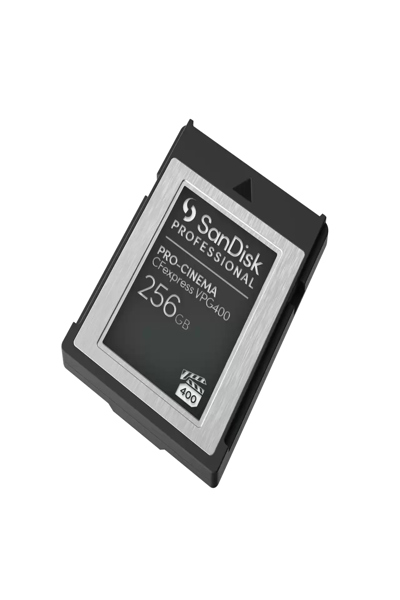 SanDisk Professional - Carte mémoire flash