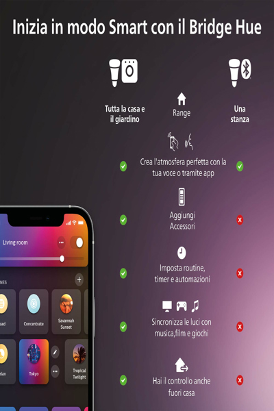 Bande dégradée Philips Hue Play 65" - 929002422801