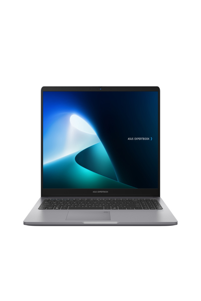 ASUS ExpertBook P1 P1503CVA-S71301X