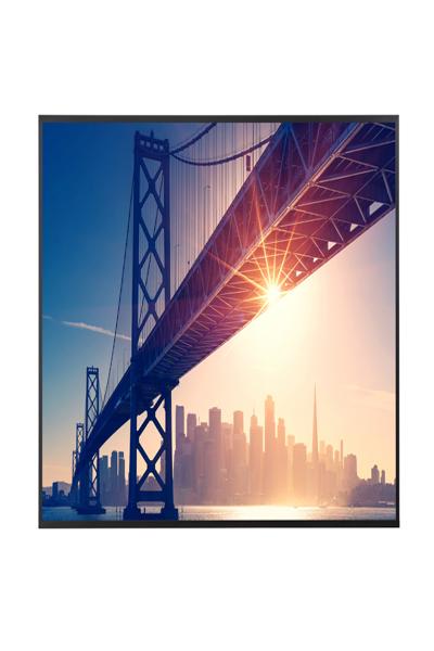 Sharp MultiSync ME652 65" - 60005924