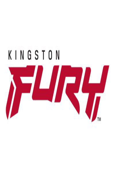 Kingston FURY Beast - DDR5 - module - KF564C32BB-16