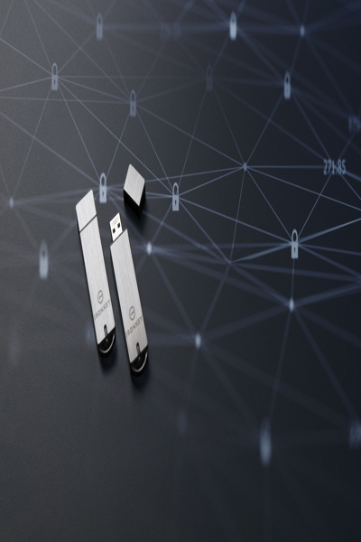 Kingston IronKey 64GB Enterprise S1000 Encrypted USB 3.0 FIPS 140-2 Level 3 - 64 GB - USB Type-A - 3.2 Gen 1 (3.1 Gen 1) - 230 MB/s - Cap - Silver - IKS1000E/64GB