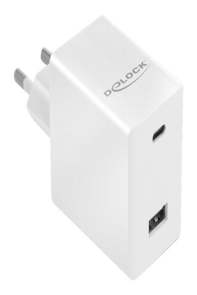 Adaptateur secteur Delock - 48 watts