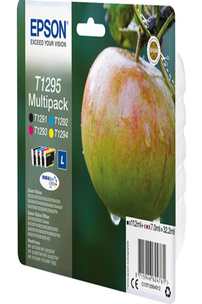 C13T12954012