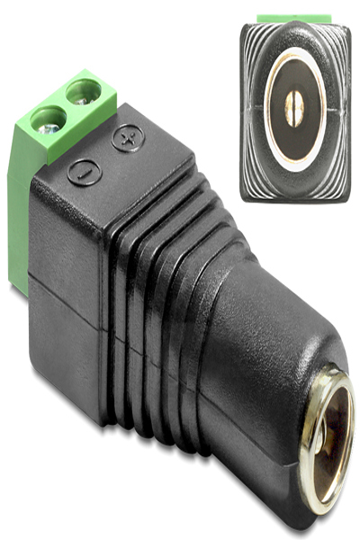 Delock Adapter DC 2.1 x 5.5 mm female > Terminal Block - 65421