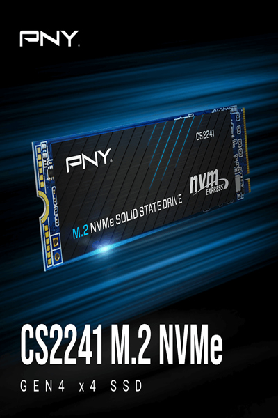 PNY 2TO NVME GEN4 M.2 CS2241 - M280CS2241-2TB-RB
