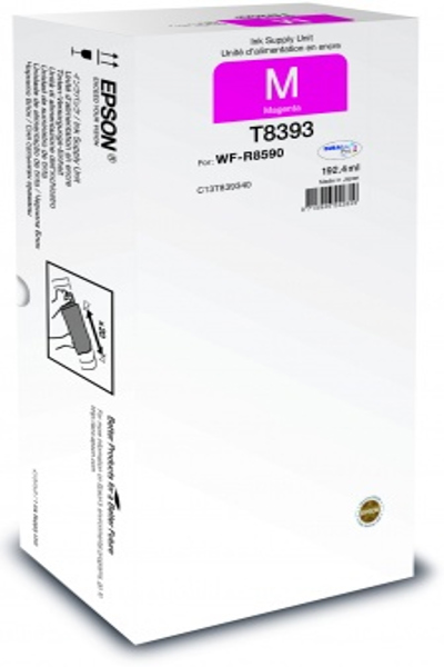 C13T83934N