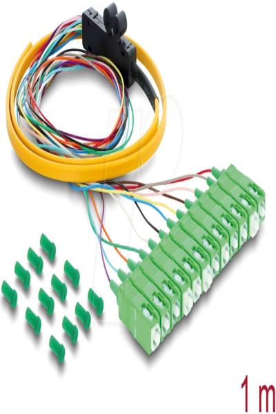 Delock Fiber Optic Cable 12x SC-APC Simple St> Open Cable End - Cable - 1 m - 91047