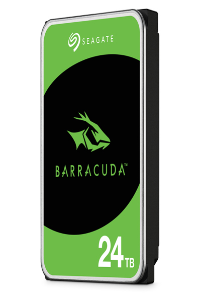 Seagate Barracuda ST24000DM001 - ST24000DM001