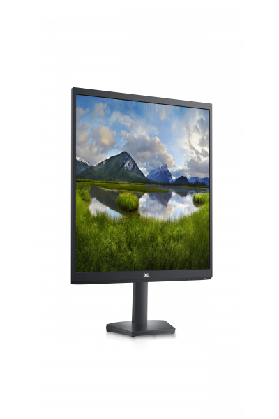 Dell SE2422H 24" LED monitor - 210-AZGT