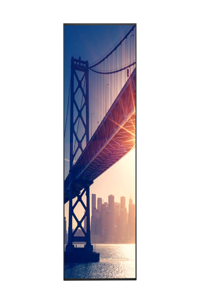 Sharp MultiSync ME652 65" - 60005924