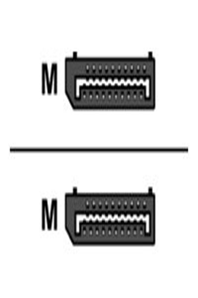 ACT 0.5 meters DisplayPort cable male - male - power pin 20 connected - 0.5 m - DisplayPort - DisplayPort - Male - Male - Black