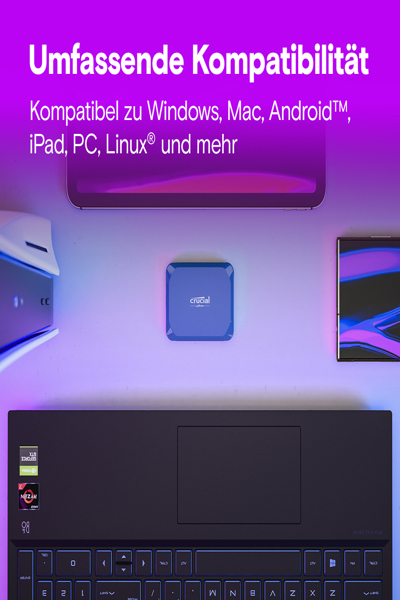 Crucial X10 Encrypted SSD - CT1000X10SSD9