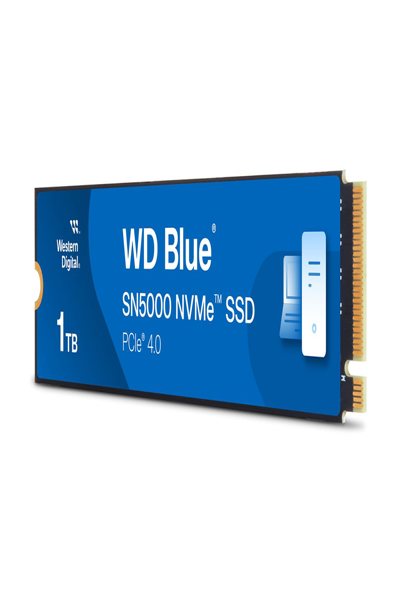 Disque SSD WD Blue SN5000 WDS100T4B0E