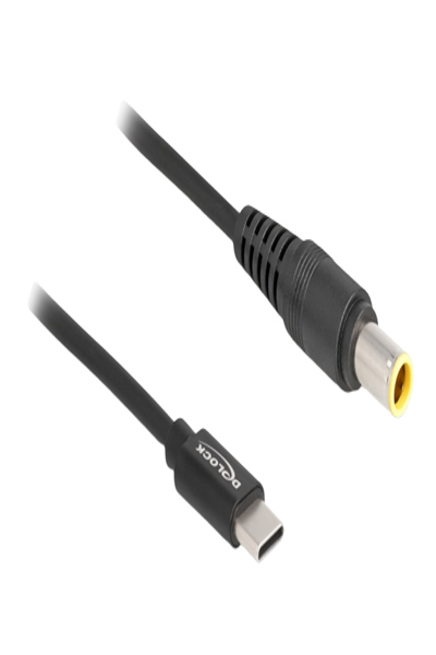 Câble d'alimentation Delock - USB-C 24 broches (M) vers prise CC 7,9 x 5,5 mm (M)