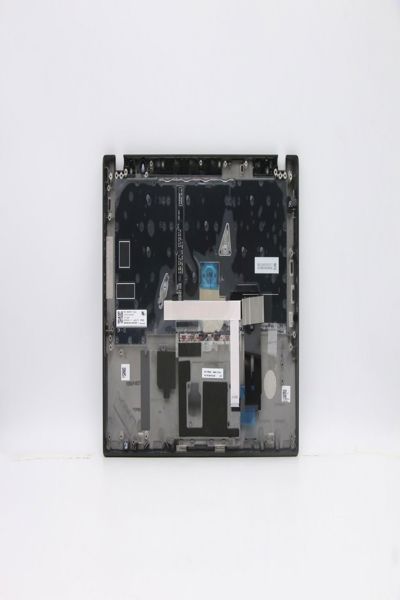 5M10Z41449