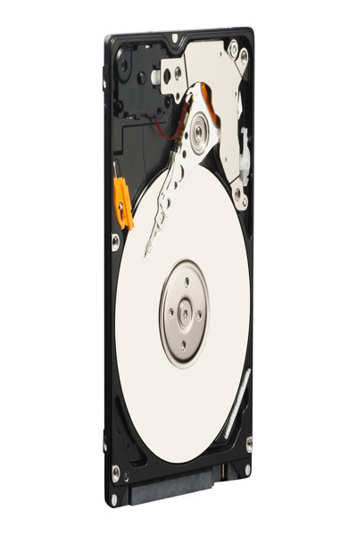 WD Blue WD2500BEVE - Disque dur