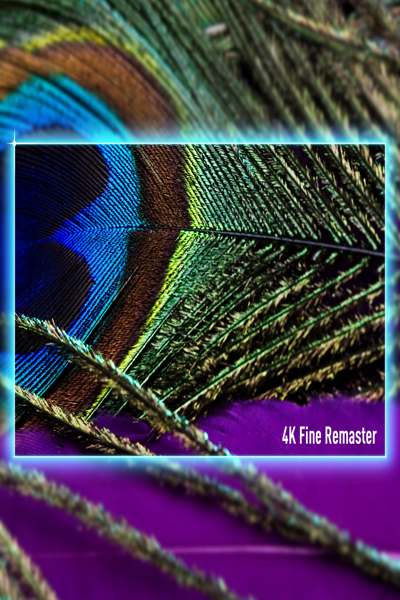 Panasonic TV-55W95AEG, 139.7 cm (55"), 3840 x 2160 pixels, 4K Ultra HD, LCD, Smart TV, Black - TV-55W95AEG