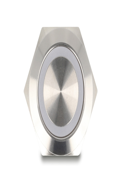 Delock Tryckknapp - för 19 mm installation, 4 x skruvterminal, blå LED - 20980