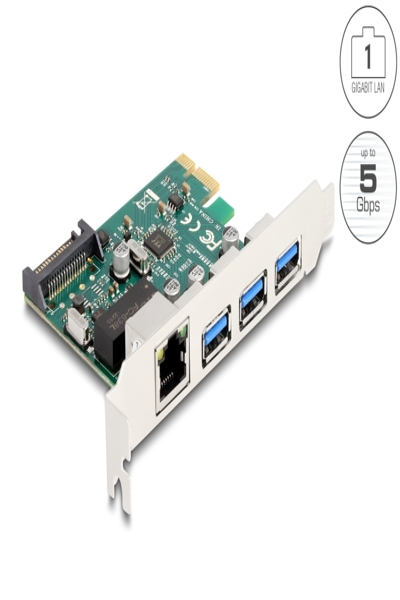 Delock Nätverksadapter - PCIe 2.0 - 90105