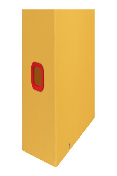 53560019