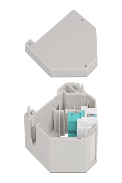 Delock Keystone-jackadapter för DIN-skena - 87173