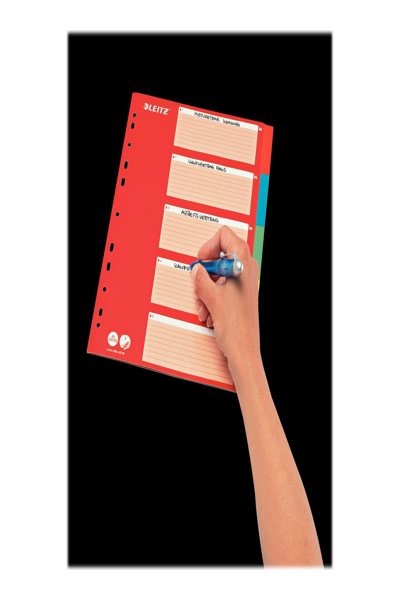 Esselte Leitz Karton-Register blanko A4 5-teilig mehrfarbig 160 g-qm mit rotem