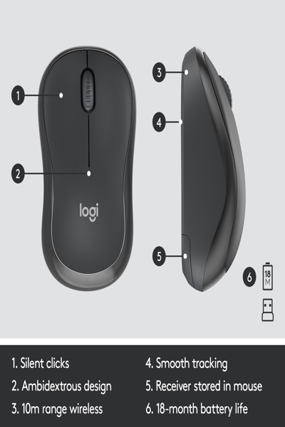 Logitech MK295 Silent Wireless Combo - Full-size (100%) - Wireless - RF Wireless - AZERTY - Graphite - Mouse included - 920-009803