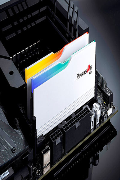 G.Skill Ripjaws M5 RGB F5-6000J3036F24GX2-RM5RW 48 Go DDR5