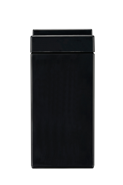 APC APCRBC177 - Batterie plomb-acide scellée (VRLA) - 24 V - 1 pièce(s) - Noir - 9 Ah - Hg (mercure)