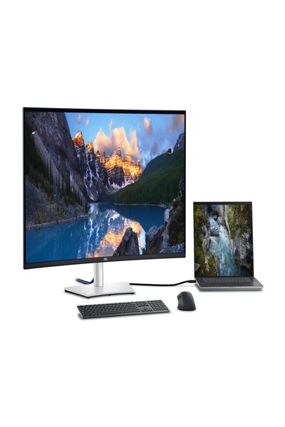 Dell UltraSharp U4025QW LED Monitor - 210-BMDV