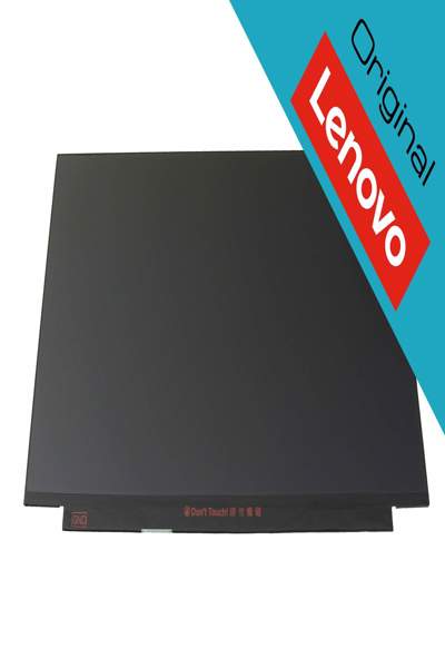 Écran IPS Lenovo SD10Q66929 1920x1080